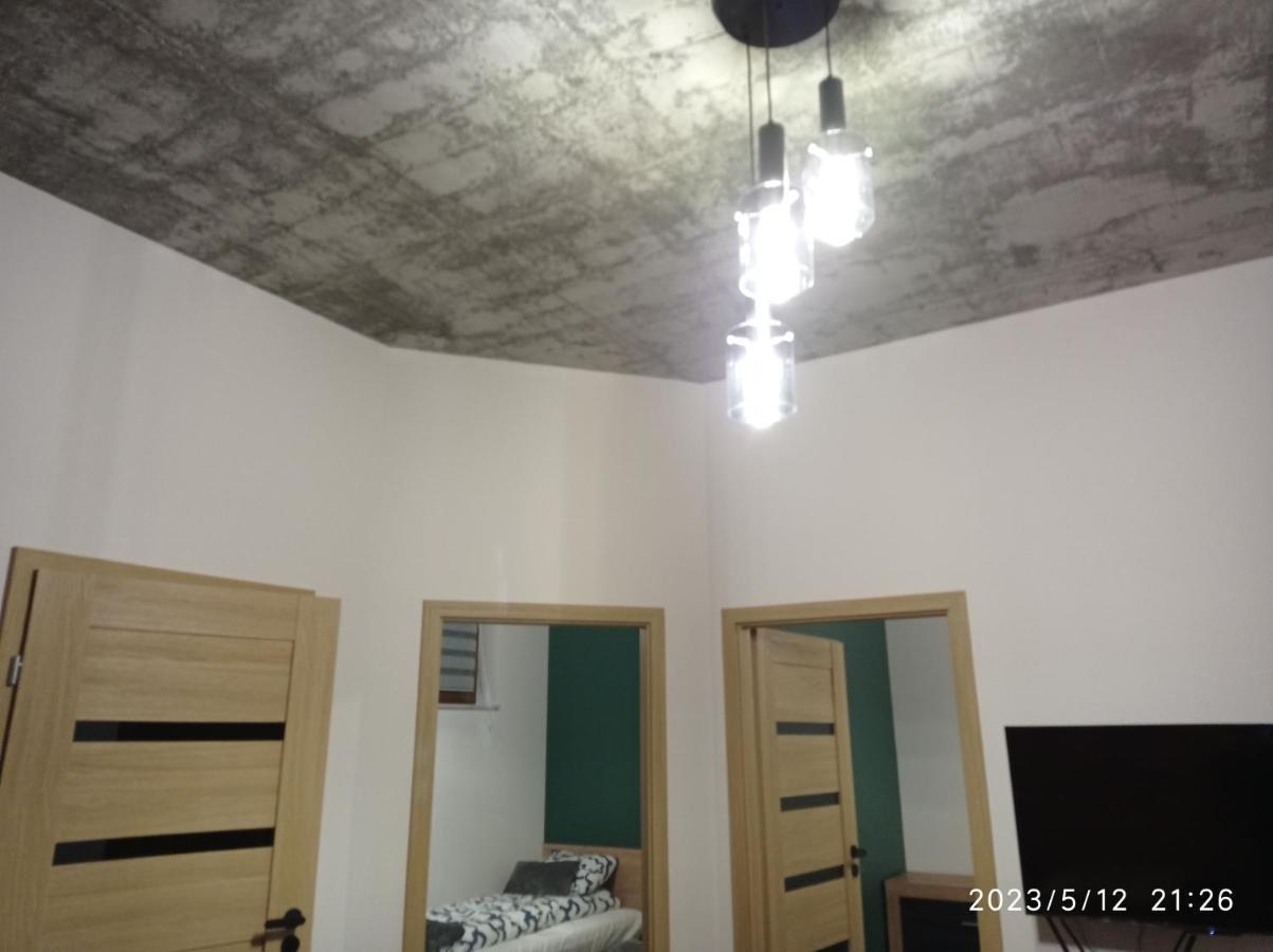 Villa Loft Park Zator, Lokalizacja Przy Wej Parku Exterior foto